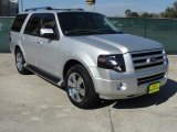 2010 Ingot Silver Metallic Ford Expedition Limited #43339105