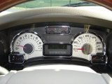 2010 Ford Expedition Limited Gauges