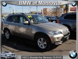 2007 Platinum Bronze Metallic BMW X5 4.8i #43440599