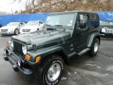 2003 Shale Green Metallic Jeep Wrangler Sahara 4x4 #43441359