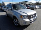 2009 Brilliant Silver Metallic Ford Escape Limited V6 #43556350