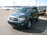 2009 Ford Escape XLT V6 4WD