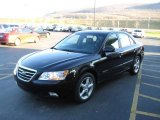 2009 Ebony Black Hyundai Sonata SE V6 #4364733