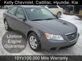 2010 Hyundai Sonata GLS