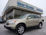 2007 Borrego Beige Metallic Honda CR-V EX-L 4WD #43781510