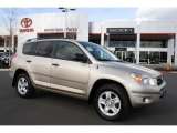2007 Savannah Metallic Toyota RAV4 4WD #43879822