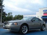 2002 Mineral Grey Metallic Ford Mustang GT Coupe #43880272