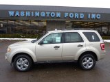 2011 Ford Escape XLT V6 4WD