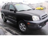 2006 Black Obsidian Hyundai Santa Fe GLS #43881215