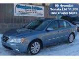 2009 Medium Silver Blue Hyundai Sonata Limited #43880554