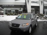 2007 Steel Gray Hyundai Santa Fe SE 4WD #43991099