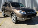 2011 Sahara Bronze Metallic Hyundai Veracruz Limited #44088191