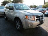 2008 Ford Escape XLT V6