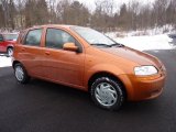 2004 Spicy Orange Chevrolet Aveo Hatchback #44088074