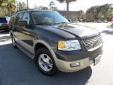 2005 Dark Stone Metallic Ford Expedition Eddie Bauer #44204032