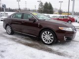 2010 Lincoln MKS AWD Ultimate Package Exterior