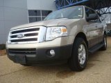 2007 Ford Expedition XLT