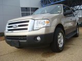 2007 Pueblo Gold Metallic Ford Expedition XLT #44315852