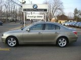 Olivin Green Metallic BMW 5 Series in 2006