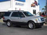 2007 Silver Birch Metallic Ford Expedition XLT #4434424