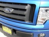 2009 Blue Flame Metallic Ford F150 FX4 SuperCrew 4x4 #4429115