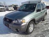 2006 Ford Escape XLT V6 4WD