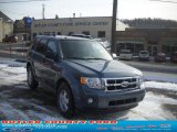 2011 Steel Blue Metallic Ford Escape XLT V6 4WD #44511138