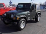 2004 Shale Green Metallic Jeep Wrangler X 4x4 #4426332