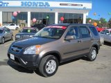 2002 Mojave Mist Metallic Honda CR-V EX 4WD #44511489