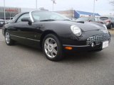 2004 Evening Black Ford Thunderbird Premium Roadster #44653672