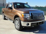 2011 Ford F150 Texas Edition SuperCrew 4x4 Front 3/4 View