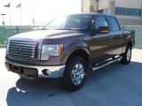 2011 Ford F150 Texas Edition SuperCrew 4x4 Data, Info and Specs
