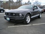 2007 Alloy Metallic Ford Mustang V6 Premium Coupe #44804020