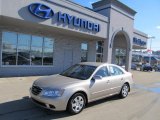 2009 Hyundai Sonata GLS
