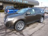 Earth Metallic Ford Edge in 2011