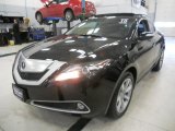 2010 Crystal Black Pearl Acura ZDX AWD Advance #44867280