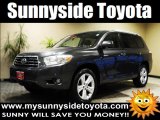 2008 Magnetic Gray Metallic Toyota Highlander Limited 4WD #44899914