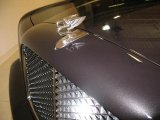 2009 Bentley Arnage Final Series Marks and Logos