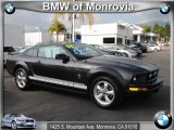 2008 Alloy Metallic Ford Mustang V6 Premium Coupe #45034710