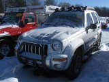 2003 Bright Silver Metallic Jeep Liberty Renegade 4x4 #45035246