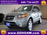 2007 Natural Khaki Green Hyundai Santa Fe Limited 4WD #45102548