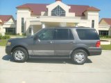 2004 Silver Birch Metallic Ford Expedition XLT #4505898