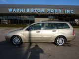 2002 Fort Knox Gold Ford Focus SE Wagon #45168444