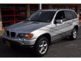 2002 Titanium Silver Metallic BMW X5 3.0i #45169236