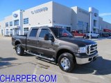 2005 Dark Stone Metallic Ford F250 Super Duty XLT Crew Cab 4x4 #45167164