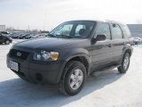 2005 Dark Shadow Grey Metallic Ford Escape XLS 4WD #45282411