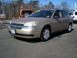 2004 Light Driftwood Metallic Chevrolet Malibu LS V6 Sedan #45330200