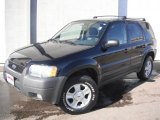 2003 Black Clearcoat Ford Escape XLT V6 4WD #45330499