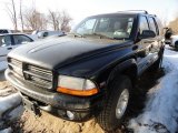 1999 Black Dodge Durango SLT 4x4 #45331853