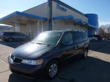 2004 Sage Brush Pearl Honda Odyssey EX-L #45332397